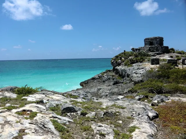 BOH X SENS BONE TULUM