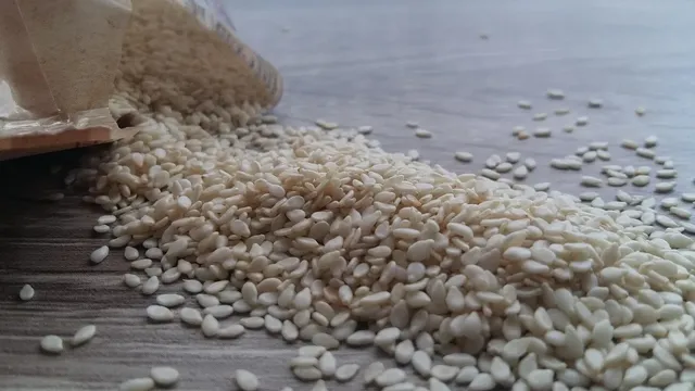 SESAME PANTS