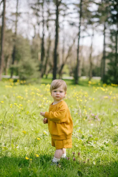 MUSTARD SET